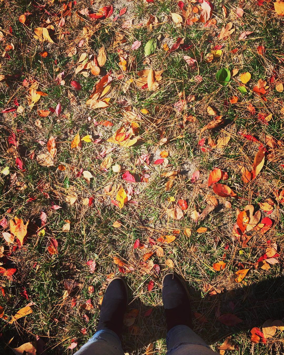 autumn bucket list