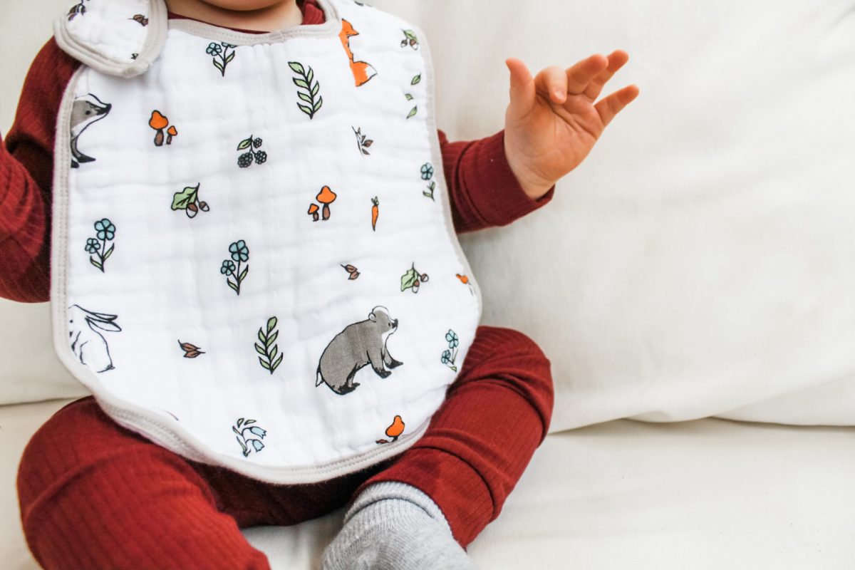 little blue nest baby bib