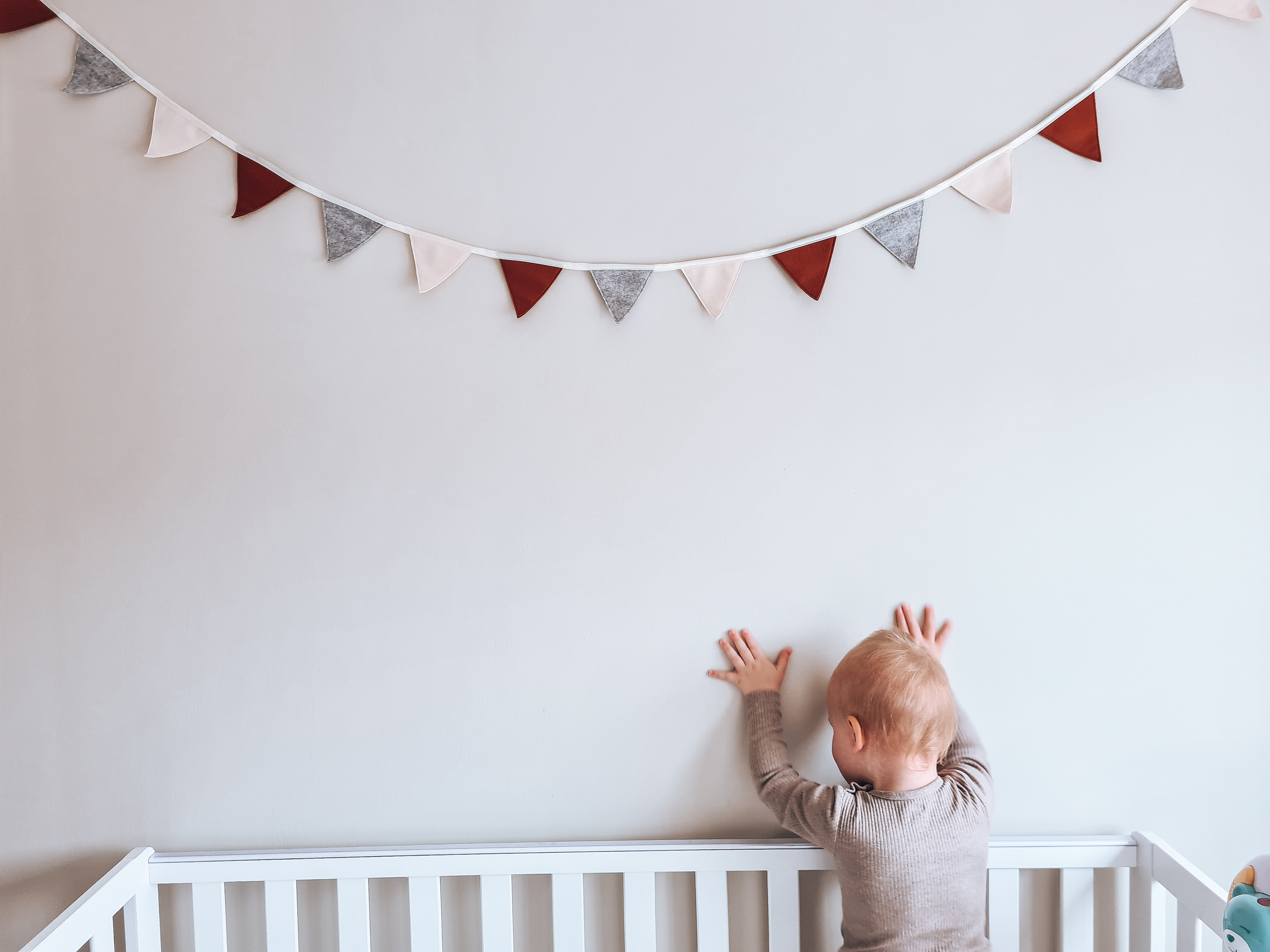 gender neutral bunting
