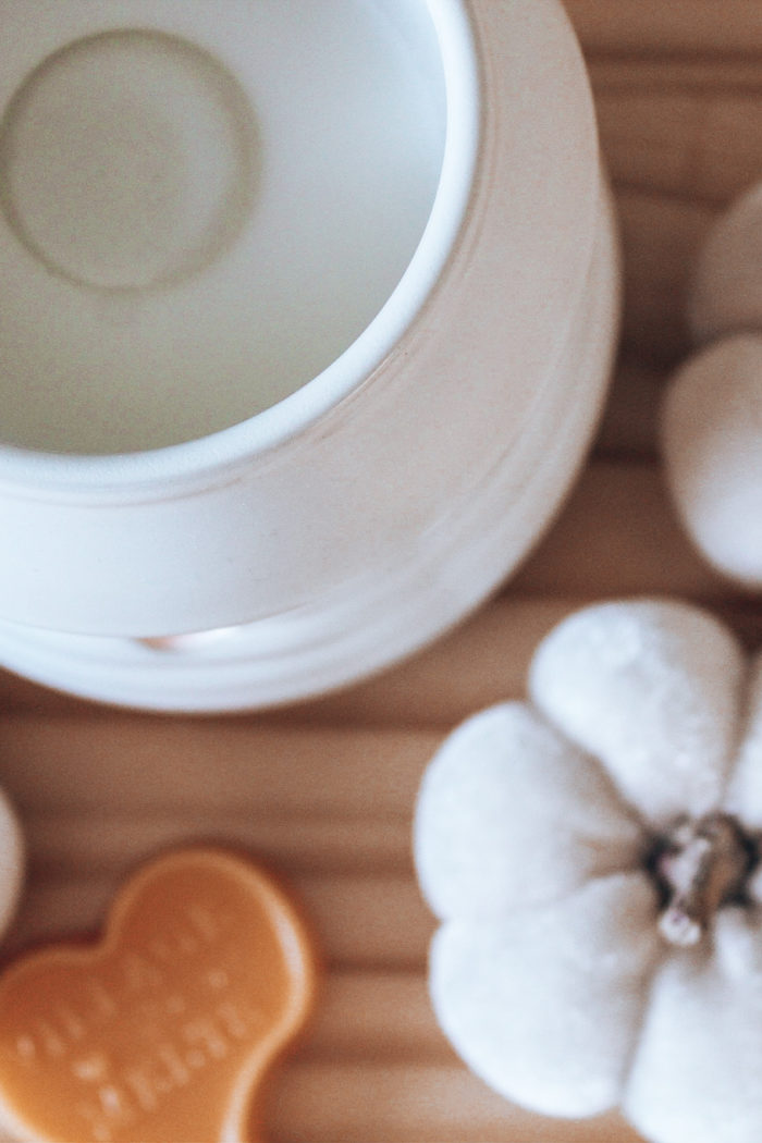wax melts & pumpkins
