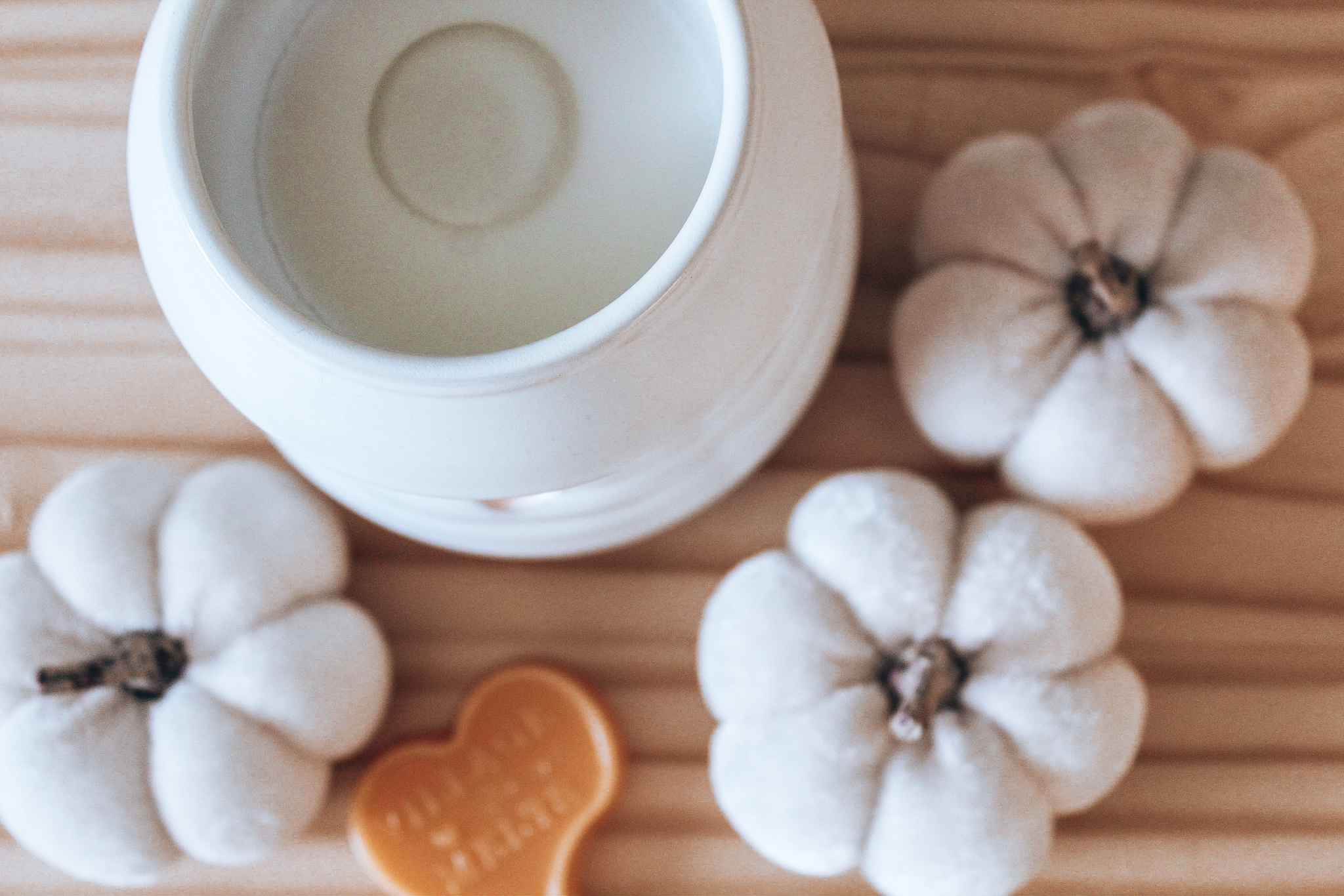wax melts & pumpkins